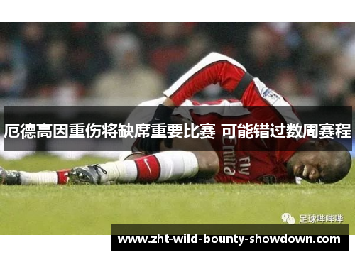 厄德高因重伤将缺席重要比赛 可能错过数周赛程